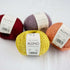 BC Garn: Allino 50g Vegan GOTS