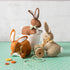 Corinne Lapierre: Filtkaniner / Bunnies Felt Craft Kit