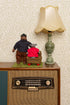 Chez Myrtil: More Seamless Friends to Knit and Love Laine Publishing